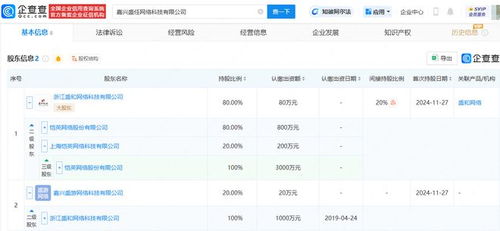 愷英網絡嘉興布局 投資成立網絡科技公司，拓展信息技術咨詢服務新賽道