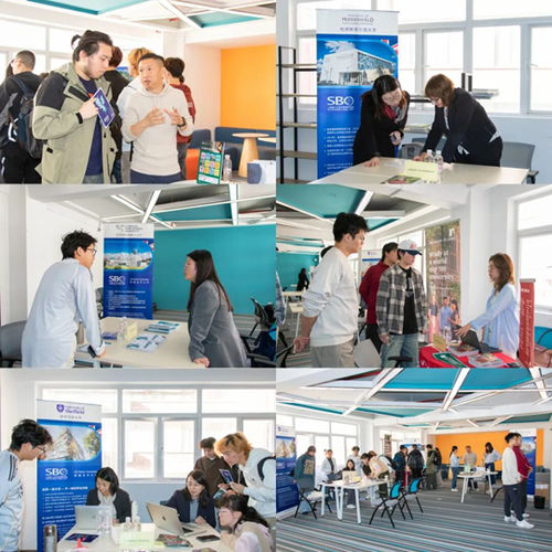 上海理工大學中英國際學院舉辦2025年度英國合作大學秋季咨詢會 聚焦信息技術咨詢服務，規劃未來留學之路